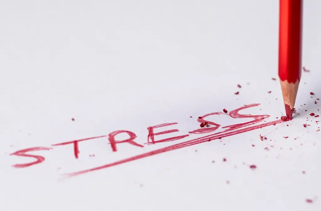 Stressbewältigung durch Gewohnheiten: Wie du mehr Ruhe und Selbstkontrolle in deinem Leben findest.